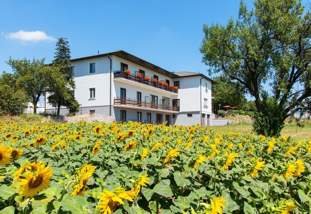 Gasthof-Pension Wein Breitenbrunn  Eksteriør billede